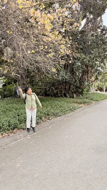 團員在黃花樹下的步道旁留影