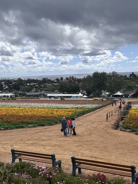 住戶漫步於花田間的步道,遠眺繽紛花海與海岸線