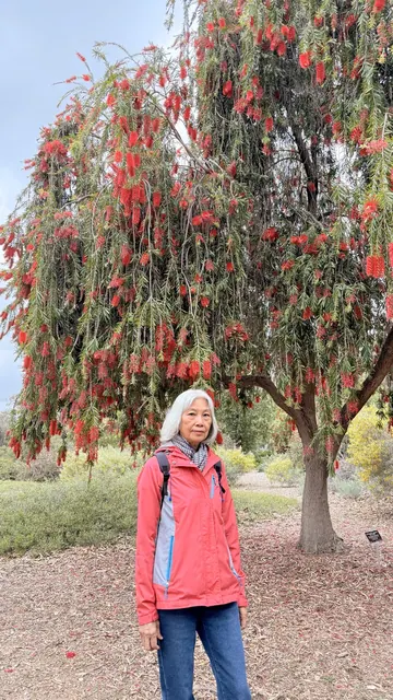 團員在盛開的紅花大樹前留影