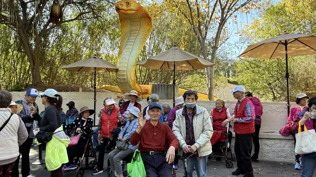 住戶在大型金蛇花燈旁的遮陽傘下休息