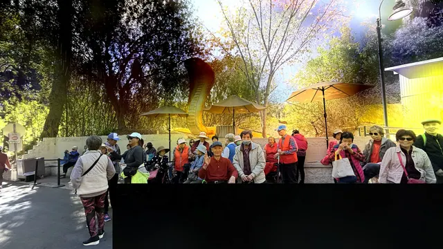 金蛇花燈前的全景合影