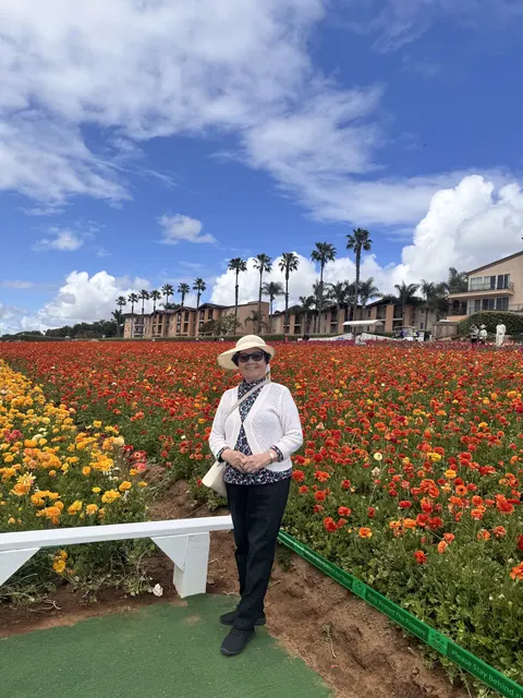 住戶在盛開的紅橙花叢間小徑上留影