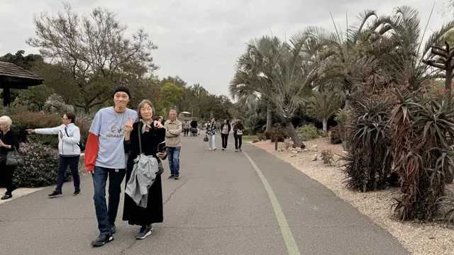 兩位團員在棕櫚植物步道上留影