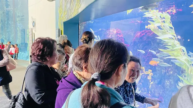 住戶在長灘水族館春遊中觀賞大型水族箱內的海洋生物